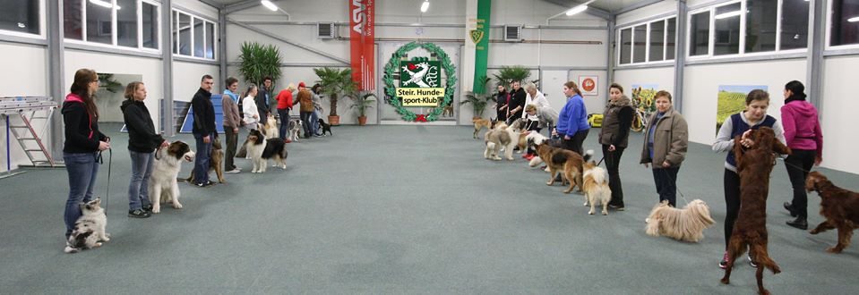 Ringtraining Steirischer Hundesportklub